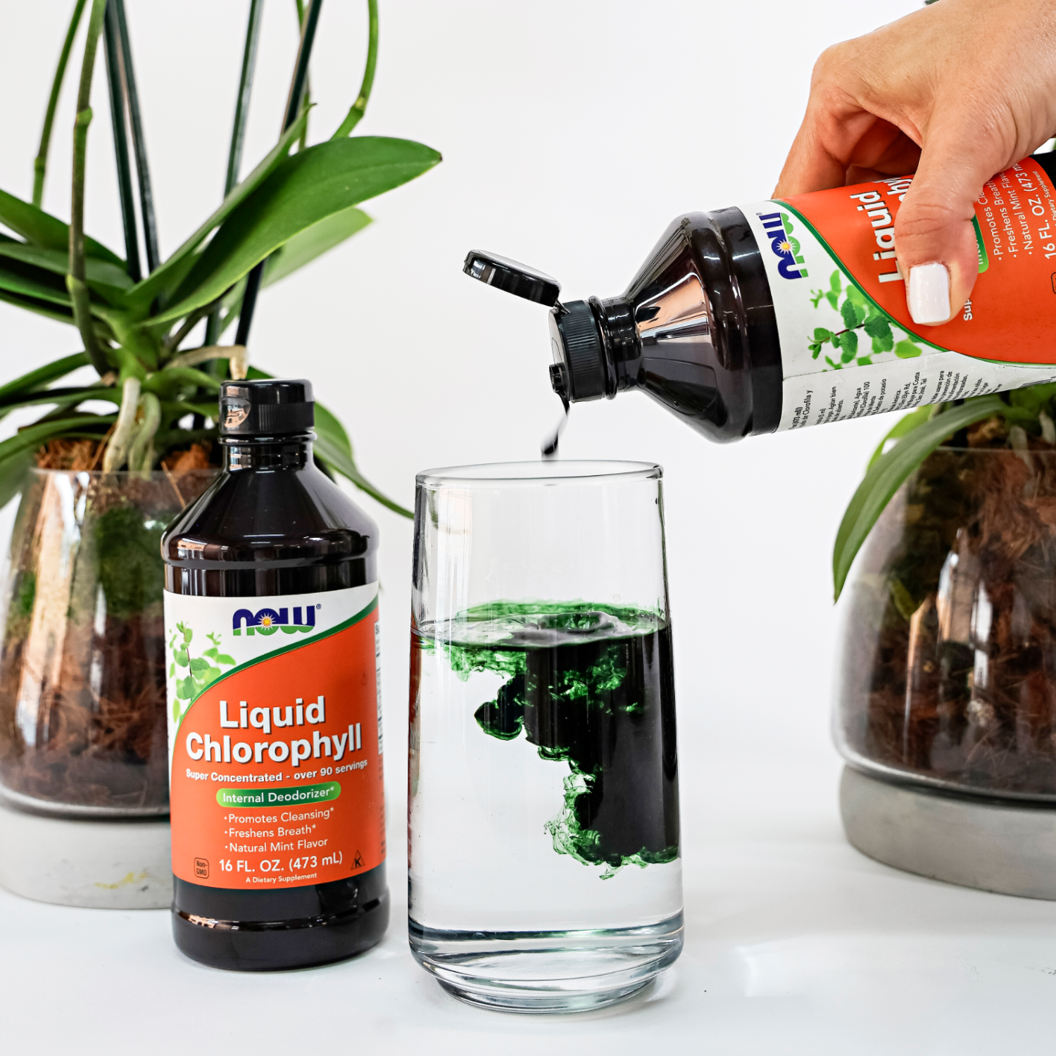 Clorofila liquida con menta disponible en Costa Rica